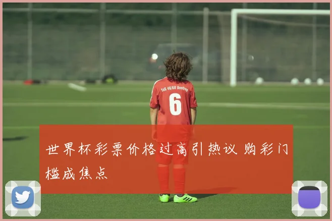 世界杯彩票价格过高引热议 购彩门槛成焦点