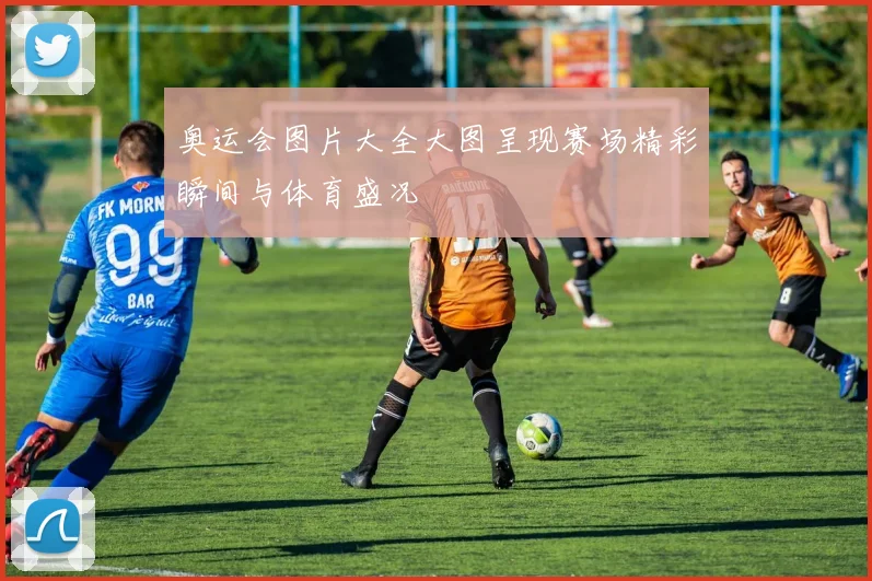 奥运会图片大全大图呈现赛场精彩瞬间与体育盛况