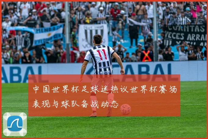 中国世界杯足球迷热议世界杯赛场表现与球队备战动态